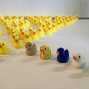 Badeendjes, achterlatertjes (100 stuks)